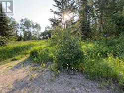461 ALDERDALE ROAD Chisholm, ON P0H 1B0