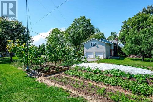 71 Savigny Road, Otonabee-South Monaghan, ON 