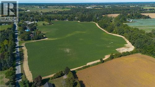 Expansive agricultural land featuring a verdant field, bordering a paved road, and framed by mature trees - 264 Old Highway 24, Waterford, ON 