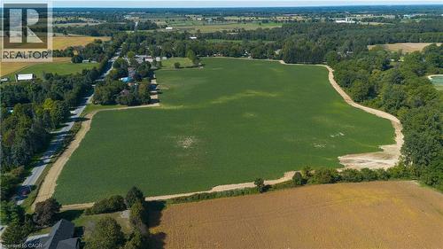 Expansive agricultural field with cultivated crops - 264 Old Highway 24, Waterford, ON 