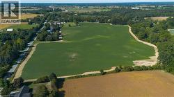 Expansive agricultural field with cultivated crops - 