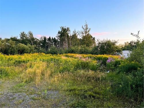 41 McCurdy Drive , Gander, NL A1V 1A1 1
