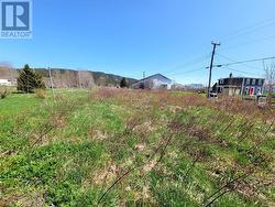 10 Tank Road Hearts Content, NL A0B 1Z0