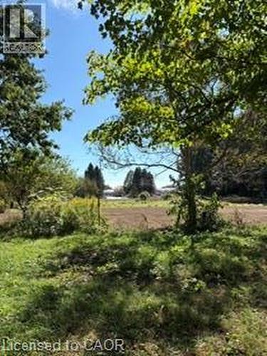 Expansive open land with mature trees and natural landscaping - 9 Concession 5 Road E, Hamilton, ON 