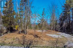 5 HURON VIEW AVENUE Lambton Shores, ON N0N 1J7