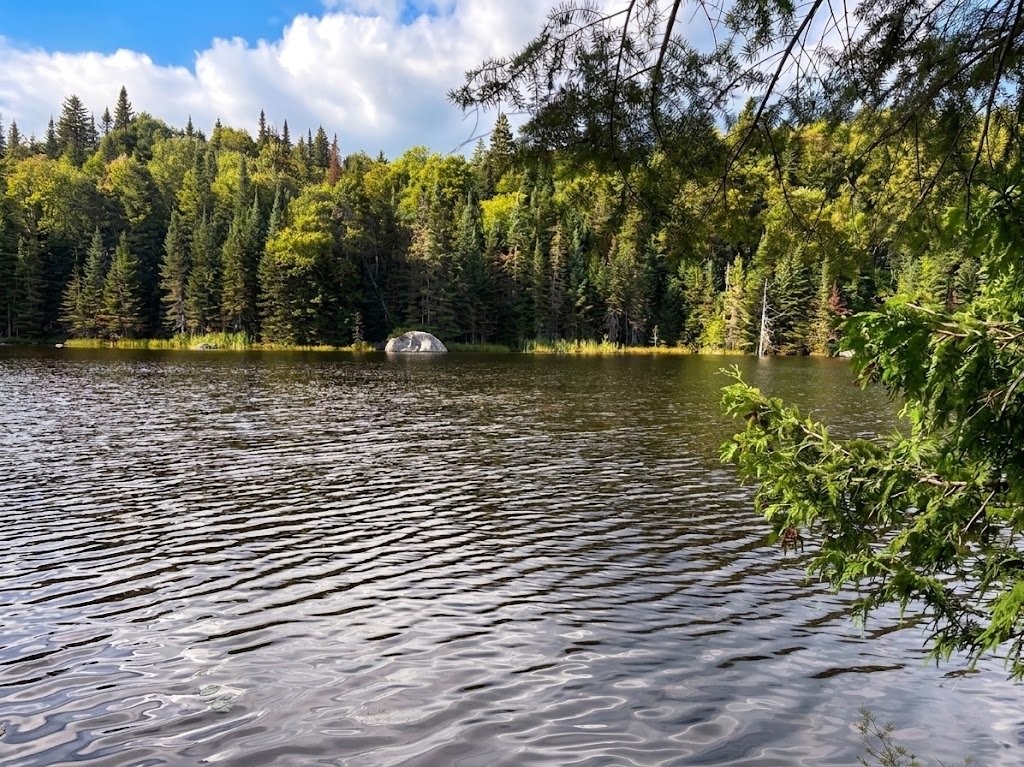Ch Du Val Des Bois — photo 1