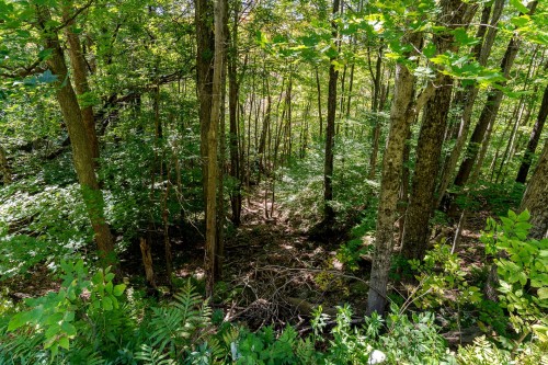 Terre/Terrain - Ch. Harold, Sutton, QC 