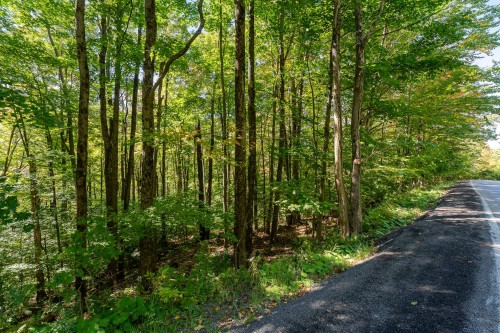 Terre/Terrain - Ch. Harold, Sutton, QC 
