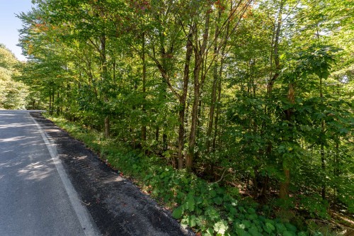 Terre/Terrain - Ch. Harold, Sutton, QC 
