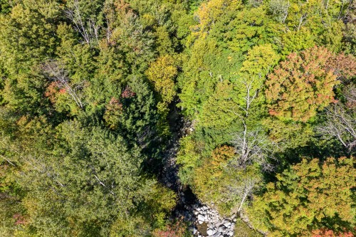 Terre/Terrain - Ch. Harold, Sutton, QC 