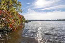 Waterfront - 