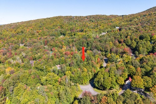 Vue d'ensemble - Ch. Harold, Sutton, QC 
