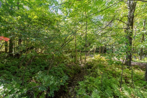 Terre/Terrain - Ch. Harold, Sutton, QC 