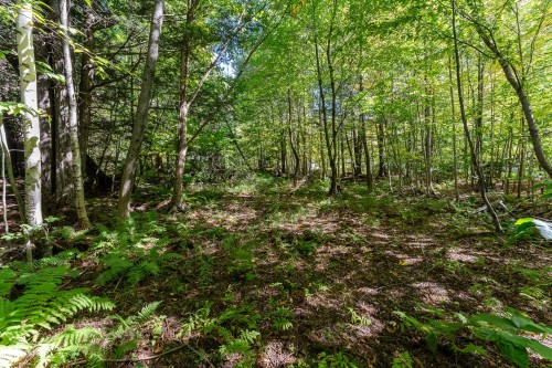 Terre/Terrain - Ch. Harold, Sutton, QC 