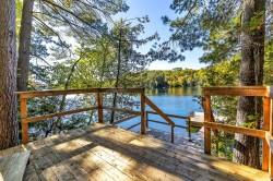 Bord de l'eau - 