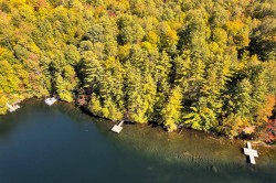Bord de l'eau - 