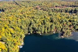 Bord de l'eau - 