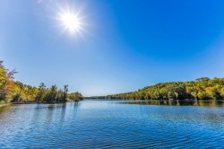 Bord de l'eau - 