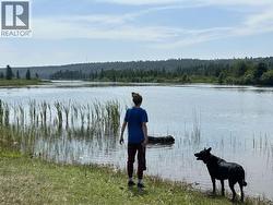3364 CARIBOO 97 HIGHWAY  Lac La Hache, BC V0K 1T1