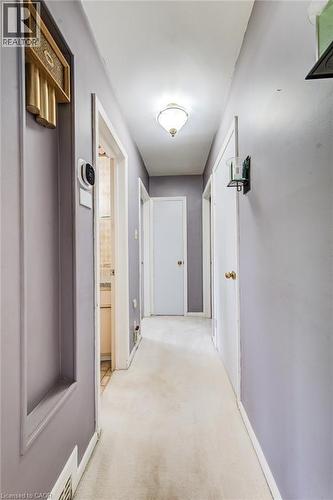 Hallway with carpet flooring, recessed wall niche, and an overhead flush-mount light fixture - 192 Warren Road, Kitchener, ON 