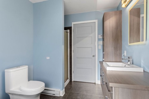 Salle de bains - 106 Rue Des Torrents, Sainte-Sophie, QC 