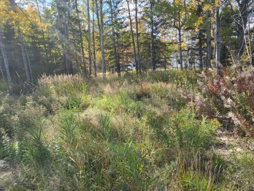 Rg Du Parc — photo 3
