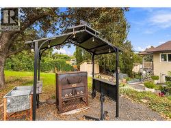 and pizza oven - 
