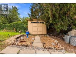 Convert this shed into a reading area or outdoor bar - 