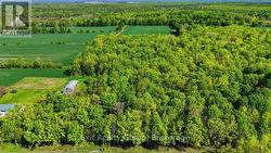 75 SPRY ROAD Stirling-Rawdon (Rawdon Ward), ON K0K 3E0