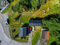 142 Harbour Drive Colliers, NL A0A 1Y0