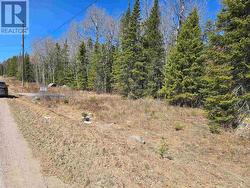 0 JONES ROAD Kenora (Kenora East), ON P9N 3W8
