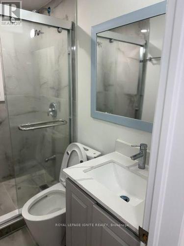 BSMT 2 - 38 PATINA DRIVE , Toronto, Ontario M2H 1R1 5