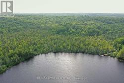 1160 BUTTERFLY ROAD  Muskoka Lakes, ON P0B 1J0