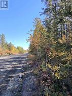 0 WILSON ROAD Temiskaming Shores (Haileybury), ON P0J 1P0