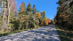 1054 SAVAGE SETTLEMENT ROAD  Perry, ON P0A 1Y0