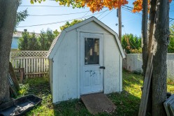 Shed - 