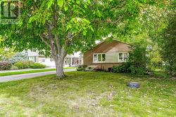 FRONT YARD - 