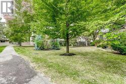Courtyard path to pool - 