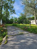 310 TERRACE DRIVE Georgina, ON L4P 2Y8