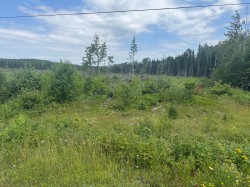 Rue des Bois-Francs  Mont-Carmel, QC G0L 1W0