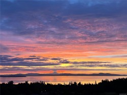 #103-5388 Hill Rise Terr Saanich, BC V8Y 3K3