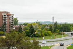 Vue - 