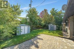 Backyard - 