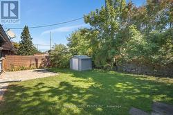 Backyard - 