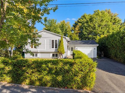 91 Bailey Ave, Fredericton, NB 