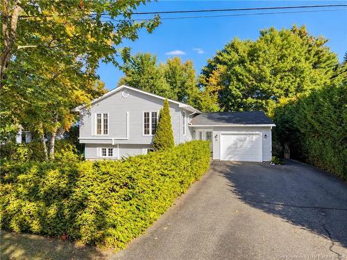 91 Bailey Ave, Fredericton, NB 