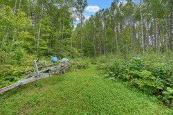 Lot - 