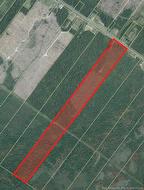 Vacant Lot Route 11  Redmondville, NB E1N 5C7