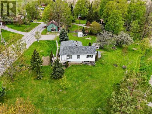 19 HALSTEAD ROAD  Alnwick/Haldimand, ON K0K 2X0