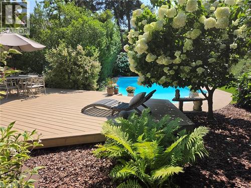 Recently refinished deck. Private. Lushly landscaped. Limelight hydrangeas turn pink in Fall. - 3040 First Street, Burlington, ON 